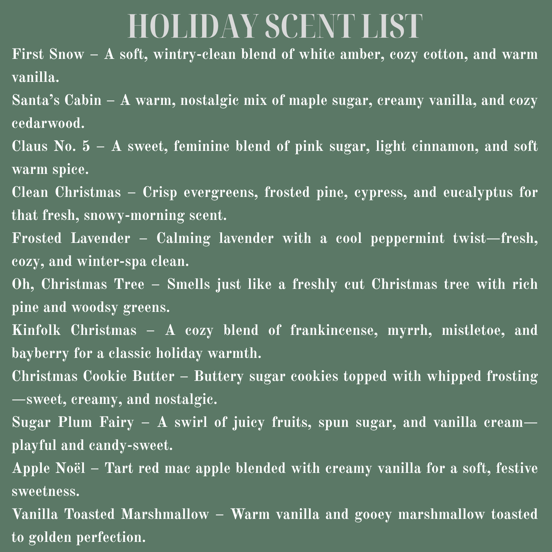 Christmas Holiday Winter Cleaning Bundle | Mop Soap, Carpet Freshener & All Purpose Cleaner | Pet-Safe - Seasonal Scents | Limited Edition