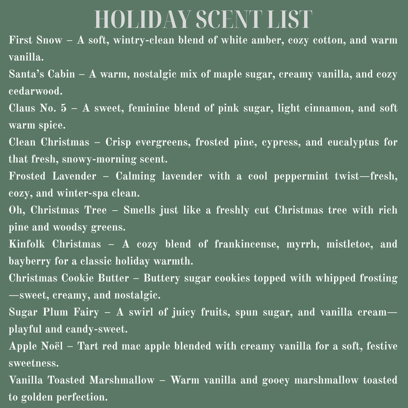 Christmas Holiday Winter Cleaning Bundle | Mop Soap, Carpet Freshener & All Purpose Cleaner | Pet-Safe - Seasonal Scents | Limited Edition