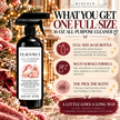 Holiday All-Purpose Cleaner | Scented Multi-Surface Cleaning Spray | 16 oz