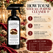 Holiday All-Purpose Cleaner | Scented Multi-Surface Cleaning Spray | 16 oz